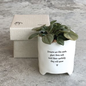 East of India Mini Planter - Dreams are like seeds