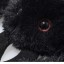 Steiff Spider Cobweb Steiff Spider Cobweb