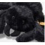 Steiff Spider Cobweb Steiff Spider Cobweb
