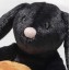 Steiff Mr Spice Hoppie Rabbit